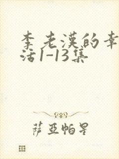 李老汉的幸福生活1-13集