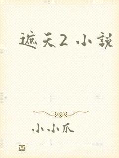 遮天2 小说封面