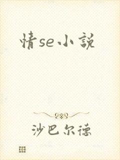 情se小说