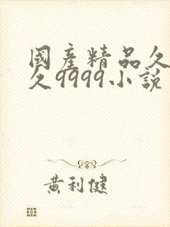 国产精品久久久久9999小说封面