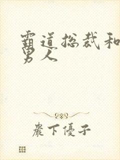 霸道总裁和他的男人封面