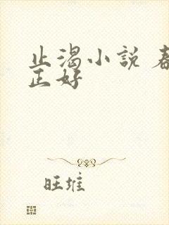 止渴小说 春光正好