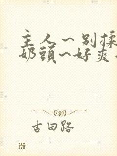 主人～别揉了～奶头~好爽小说