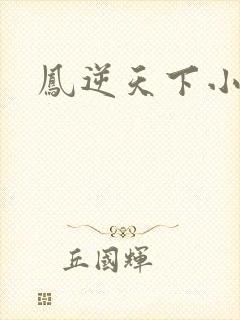 凤逆天下小说封面