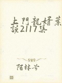 上门龙婿叶辰小说2117集封面