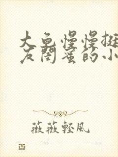 大龟慢慢挺进女友闺蜜的小说