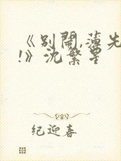 《别闹,薄先生!》沈繁星