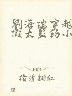 刘海瑞穿越后宫假太监的小说