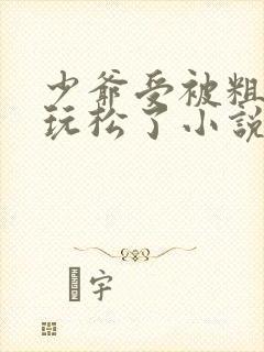 少爷受被粗汉H玩松了小说