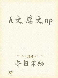 h文腐文np封面