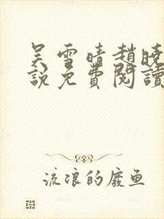 吴雪晴赵晓东小说免费阅读