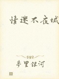 情迷不夜城