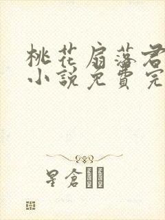 桃花扇落君不还小说免费完整版