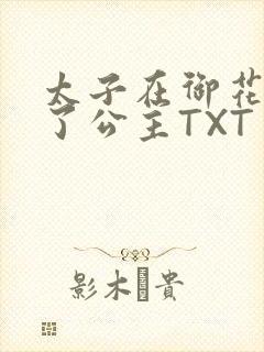 太子在御花园要了公主TXT封面