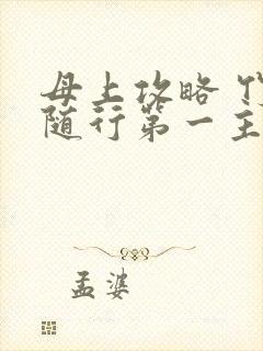 母上攻略 竹影随行第一主板封面