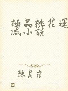 极品桃花运未删减小说