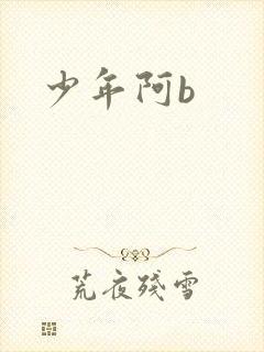 少年阿b