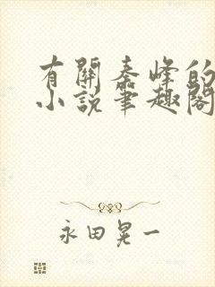 有关秦峰的官场小说笔趣阁封面