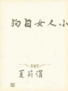 狗日女人小说