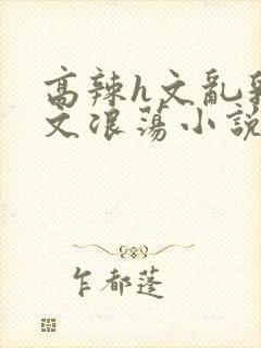 高辣h文乱乳h文浪荡小说苏柔封面