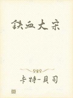 铁血大宋