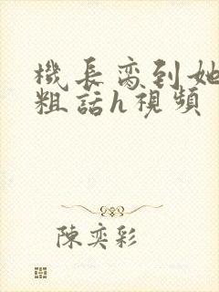 机长脔到她哭h粗话h视频