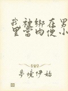 我被绑在男公厕里当肉便小说封面