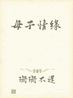 母子情缘封面