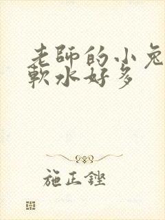 老师的小兔子好软水好多