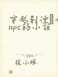 穿越到湮婸世界npc的小说