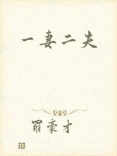 一妻二夫封面