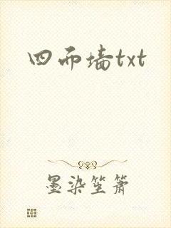 四面墙txt