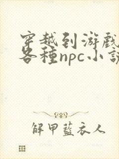 穿越到游戏里和各种npc小说