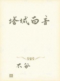 塔城白音封面