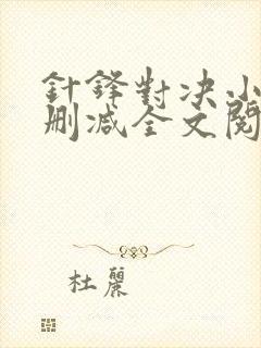 针锋对决小说未删减全文阅读