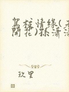 驾校情缘(老树开花)孙潇潇笔趣阁封面