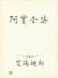 阿宾全集封面