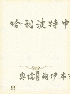 哈利波特中文版