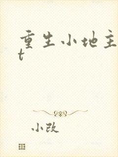 重生小地主txt