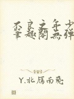 不良之年少轻狂笔趣阁无弹窗封面