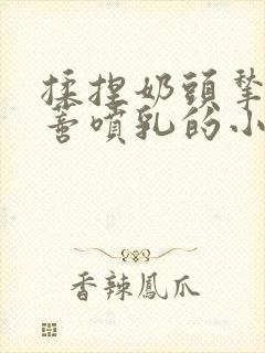 揉捏奶头揪扯阴蒂喷乳的小说封面