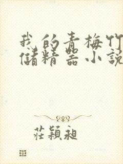 我的青梅竹马是储精器小说