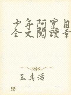 少年阿宾目录及全文阅读章节