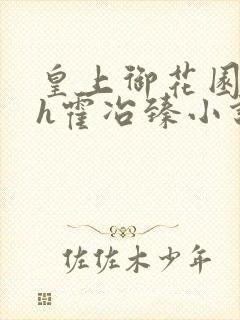 皇上御花园hlh霍冶臻小说