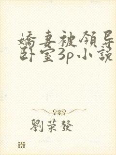 娇妻被领导抱到卧室3p小说封面