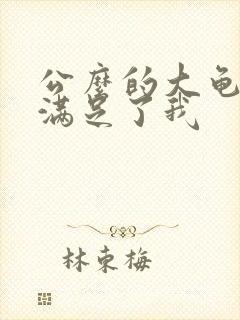 公么的大龟强大满足了我