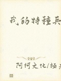我的特种兵男友