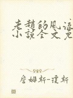 老赵的风流人生小说全文免费阅读