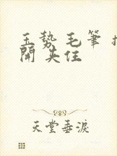 玉势 毛笔 撑开 夹住封面