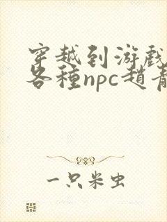 穿越到游戏里和各种npc赵青蔓